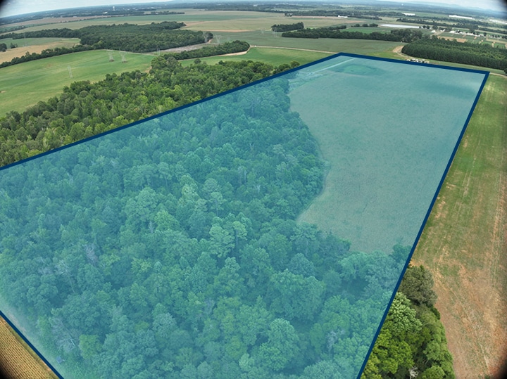 9303 Fennell Rd, Tanner, AL à vendre - Photo de l’immeuble – Image 3 sur 3