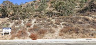 Mount Carmel Dr, Glendale CA - Terrain