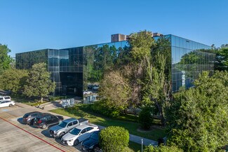 Plus de détails pour 719 Sawdust Rd, The Woodlands, TX - Bureau à louer
