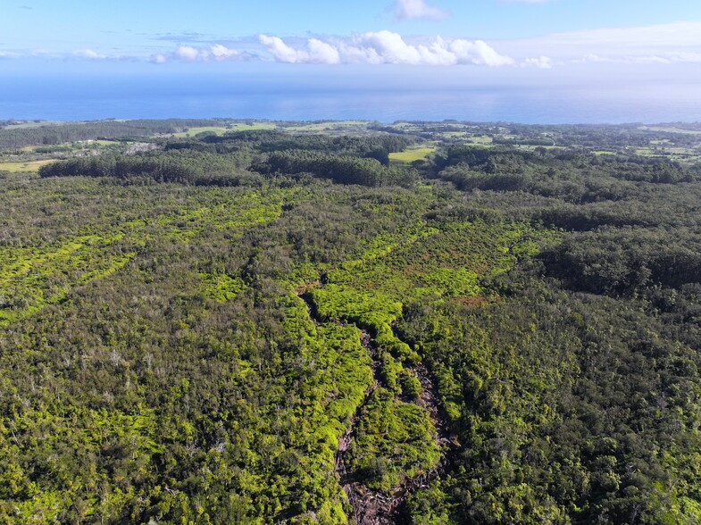 29-773 Chin Chuck Rd, Hakalau, HI à vendre - Photo principale – Image 1 sur 4