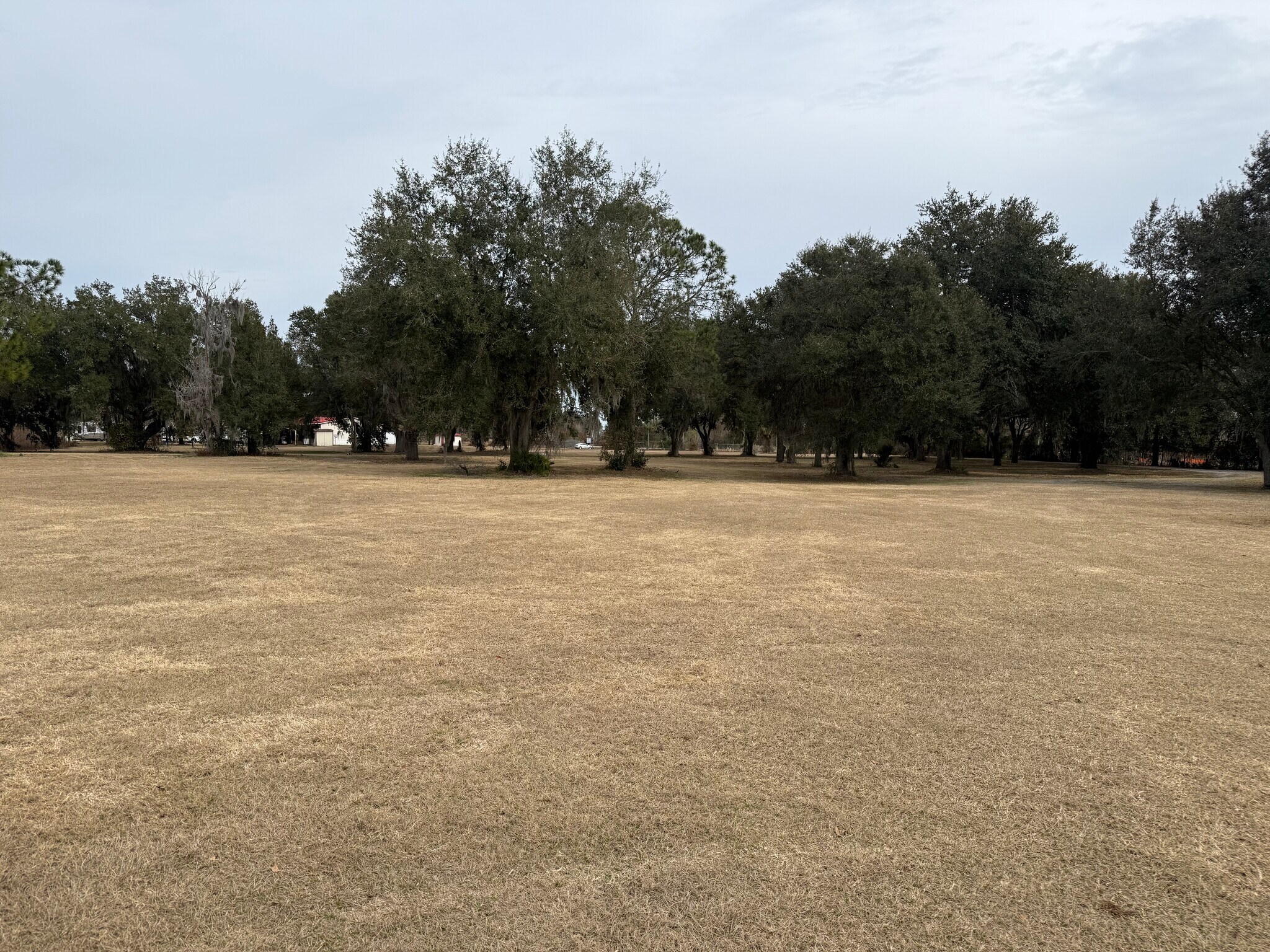 1019 Morris Bridge Rd, Zephyrhills, FL à vendre Photo principale– Image 1 sur 13