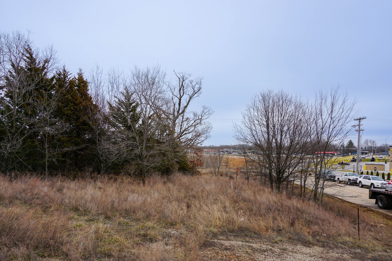 View Photo