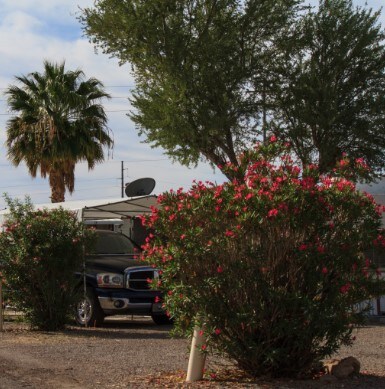 855 S Rodgers Pl, Quartzsite, AZ à vendre - Autre – Image 2 sur 4