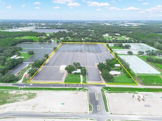 Plus de détails pour 506 E Trapnell Rd, Plant City, FL - Terrain à vendre