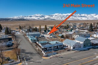 Plus de détails pour 20 S Sinclair St, Bridgeport, CA - Local commercial à vendre