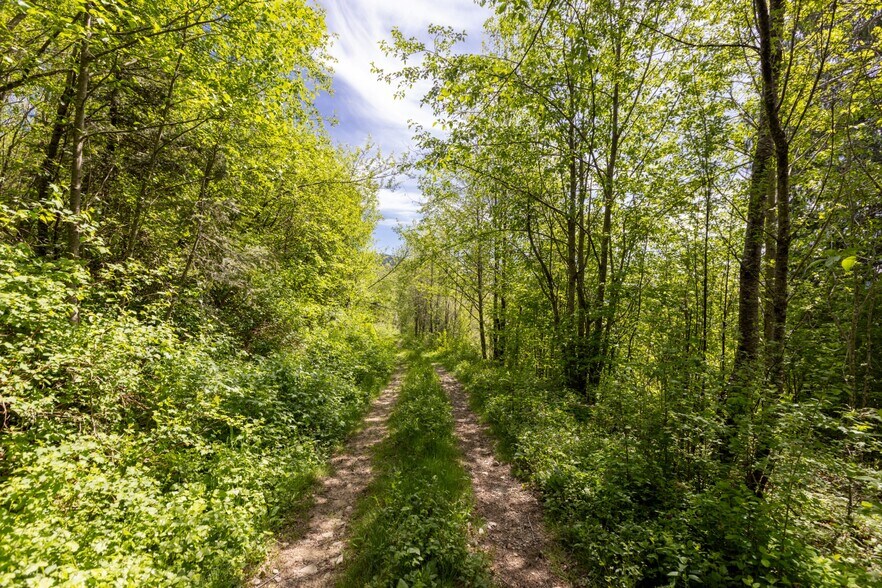 0 Snag Mountain Road, Washougal, WA à vendre - Photo de l’immeuble – Image 3 sur 40