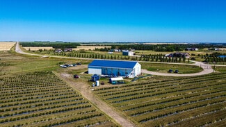 Plus de détails pour 705068 82 -1, Wembley, AB - Local commercial à vendre