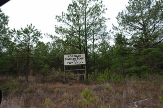 Plus de détails pour 2231 Iris Dr SE, Conyers, GA - Terrain à vendre