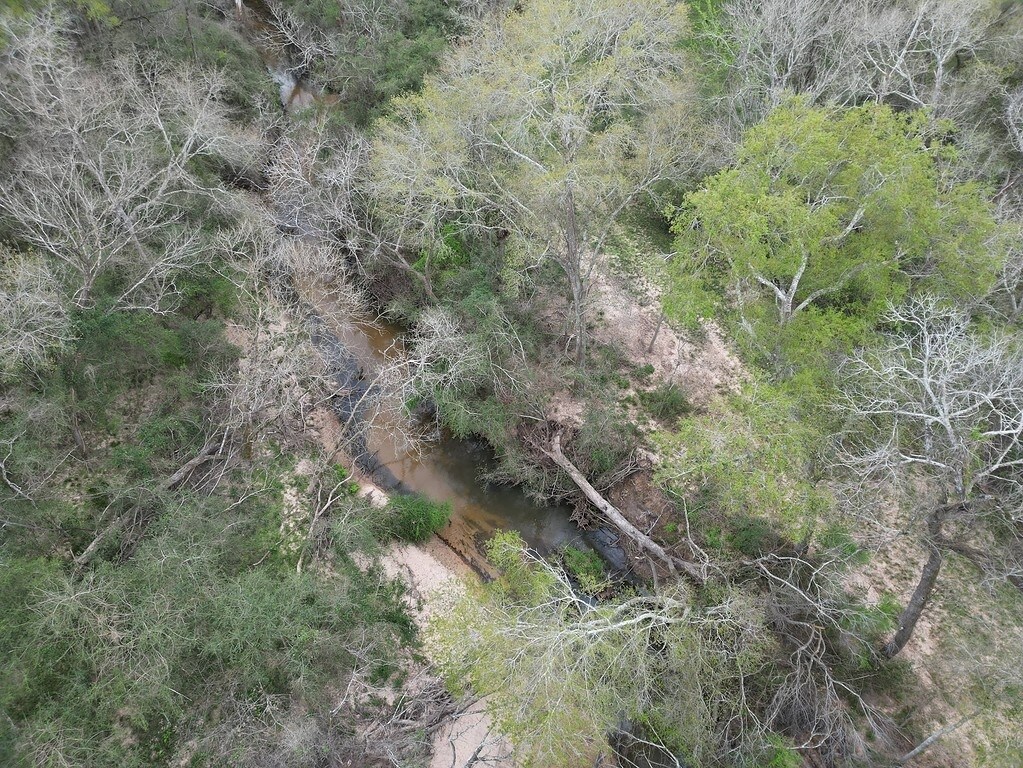 View Photo