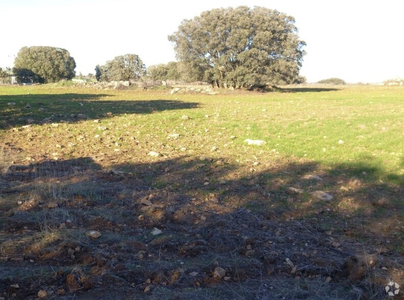 Terrain dans Pozuelo del Rey, Madrid à vendre - Photo principale – Image 1 sur 2