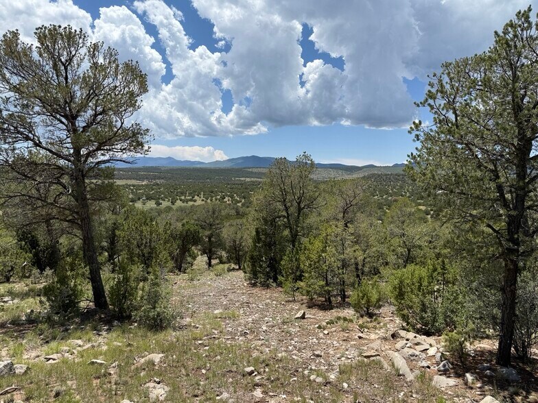 44 Forest 321 Rd, Estancia, NM à vendre - Photo de l’immeuble – Image 2 sur 32