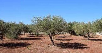 Plus de détails pour Carrer del Mar, Rossell - Terrain à vendre