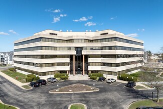 Plus de détails pour 1721 Moon Lake Blvd, Hoffman Estates, IL - Bureau à louer