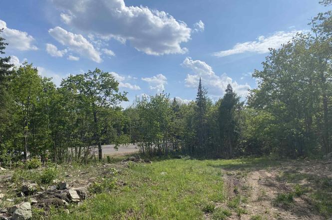 W of 327 US 41 E hwy, Negaunee, MI à vendre - Photo de l’immeuble – Image 3 sur 7