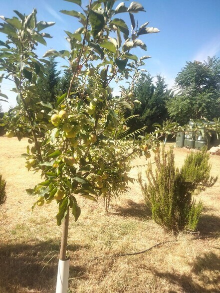 Lugar Común Viejo, 2, Aldeamayor de San Martín, Valladolid à vendre - Photo de l’immeuble – Image 2 sur 39