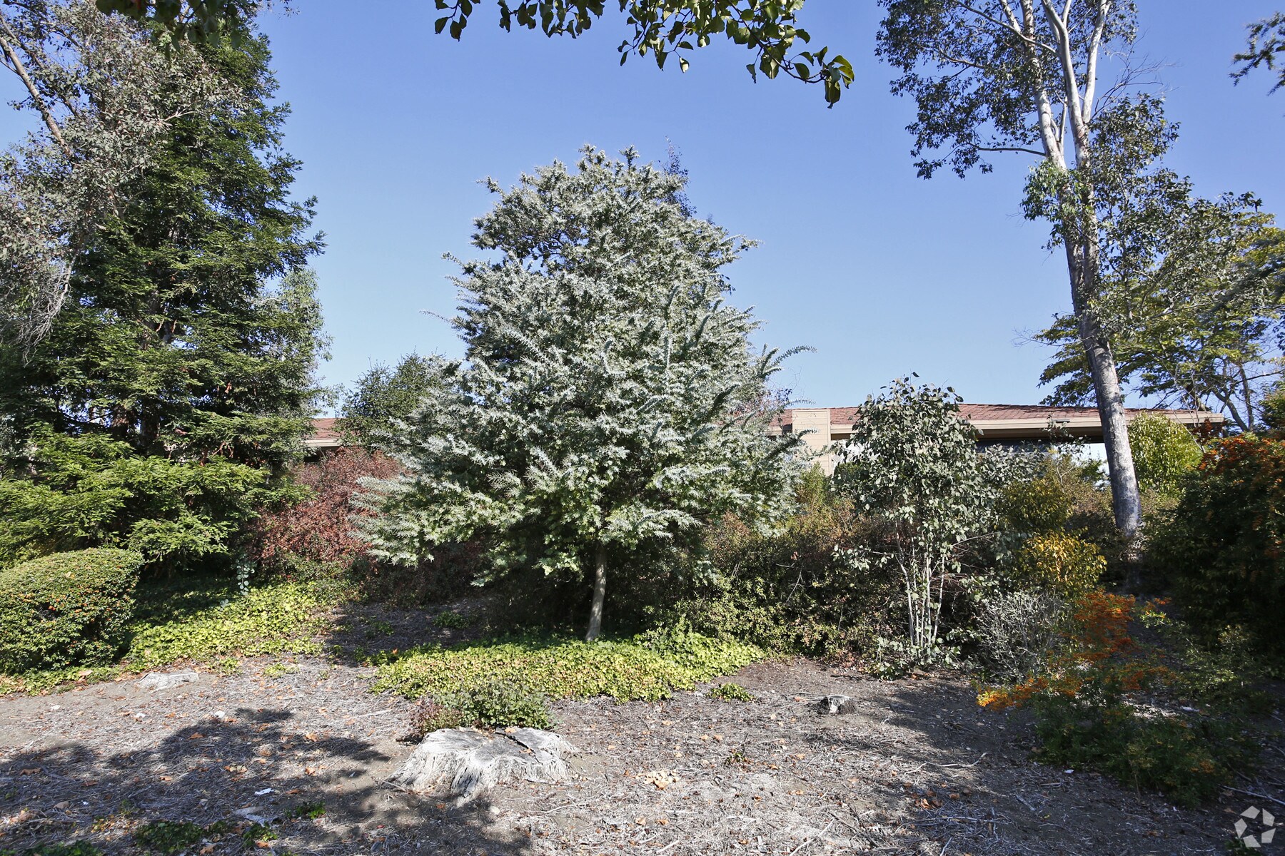 3880 Blackhawk Rd, Danville, CA à louer Photo de l’immeuble– Image 1 sur 9