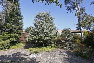 Plus de détails pour 3880 Blackhawk Rd, Danville, CA - Bureau à louer