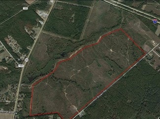 Plus de détails pour I-16 & Hwy 96, Jeffersonville, GA - Terrain à vendre