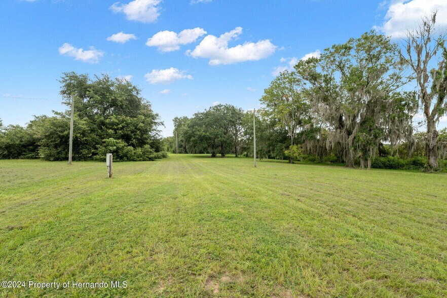 9028 McKendree Rd, Wesley Chapel, FL à vendre - Photo principale – Image 1 sur 2