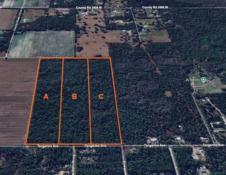 0 Tangerine Avenue, Bunnell, FL à vendre - Photo de l’immeuble – Image 3 sur 3