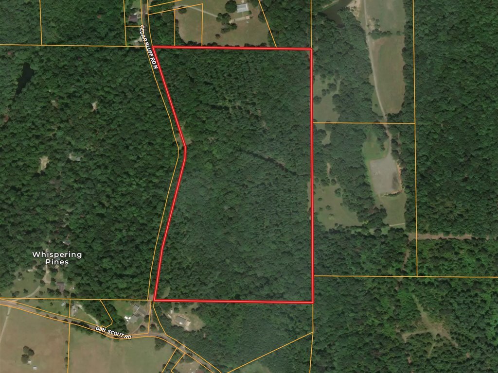 0 CR 273, Garrison, TX à vendre Aérien– Image 1 sur 18