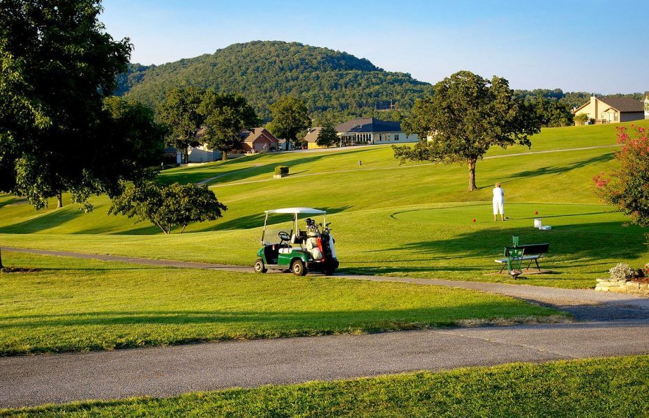 15 Leatherwood Dr, Eureka Springs, AR à vendre Autre– Image 1 sur 9