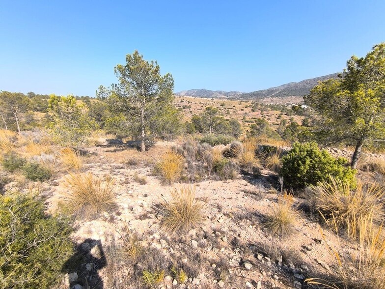 Terrain dans La Romana, Alicante à vendre - Plan de site – Image 2 sur 6