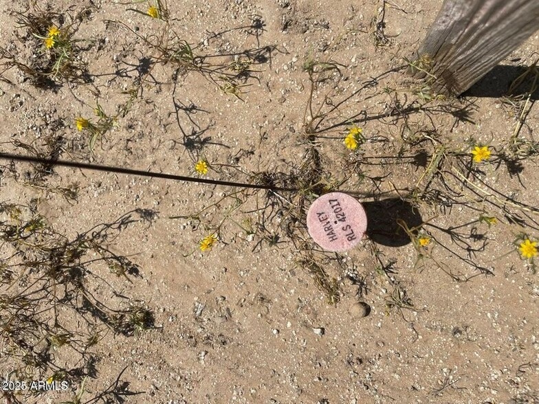 W Lone Cactus Rd & Sun Valley Pkwy & 219th Ave, Surprise, AZ à vendre - Aérien – Image 3 sur 4