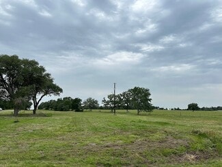 Plus de détails pour 4903 FM 180, Ledbetter, TX - Terrain à vendre