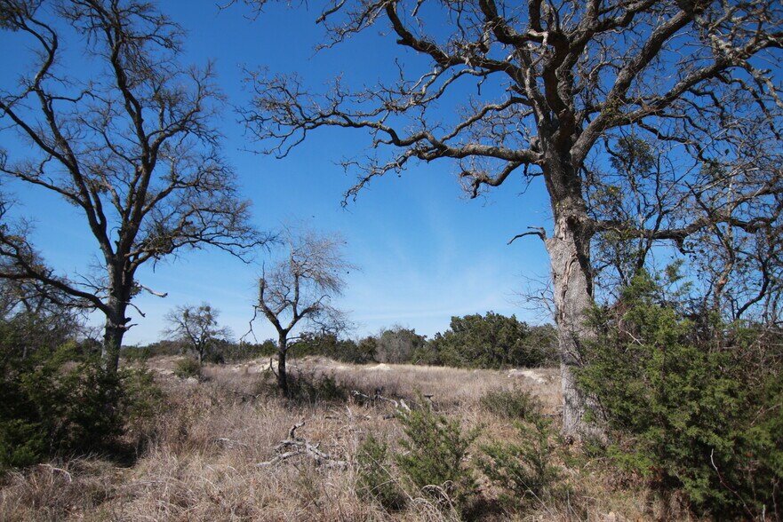 105 Daisy Lane, Dripping Springs, TX à vendre - Photo de l’immeuble – Image 1 sur 21