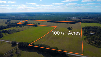Plus de détails pour 1010 215th Ave, Morriston, FL - Terrain à vendre