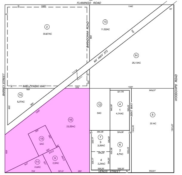 2601 W Hwy 372, Pahrump, NV à vendre - Photo principale – Image 1 sur 1