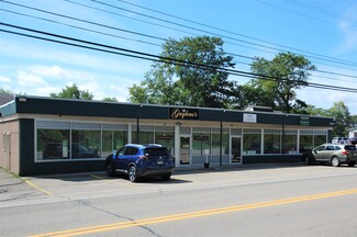 Plus de détails pour 3045 Fluvanna Avenue Ext, Fluvanna, NY - Local commercial à vendre