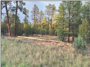 4900 Arizona 260, Lakeside, AZ à vendre - Photo de l’immeuble – Image 3 sur 12