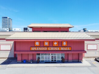 Plus de détails pour 4675 Steeles Ave E, Toronto, ON - Bureau/Local commercial à louer