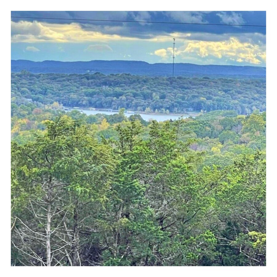 View Photo