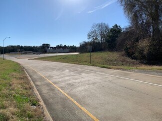 Plus de détails pour 155 N State Highway 155, Palestine, TX - Terrain à vendre