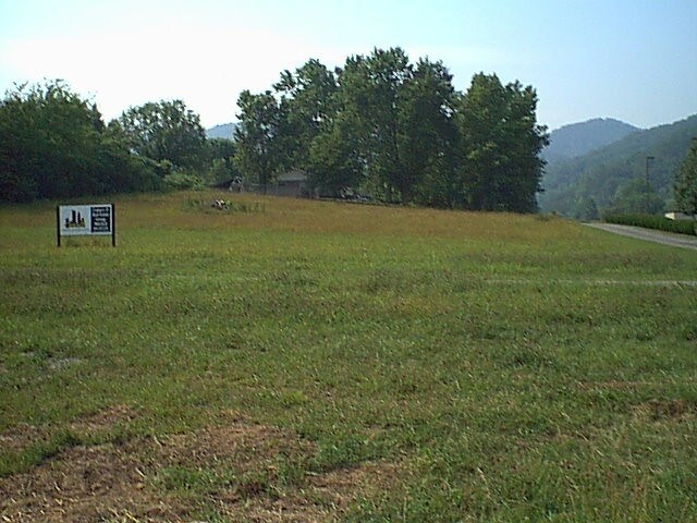 7911 E Lamar Alexander Pky, Townsend, TN à vendre - Photo de l’immeuble – Image 3 sur 4
