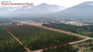 Plus de détails pour Cranberry Lake Rd, Valemount, BC - Terrain à vendre