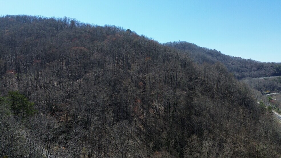00 McMillan, Bryson City, NC à vendre - Photo de l’immeuble – Image 2 sur 9