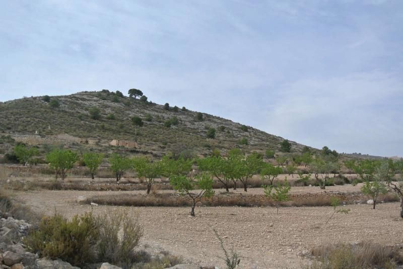 Terrain dans Jumilla, Murcia à vendre - Aérien – Image 3 sur 15