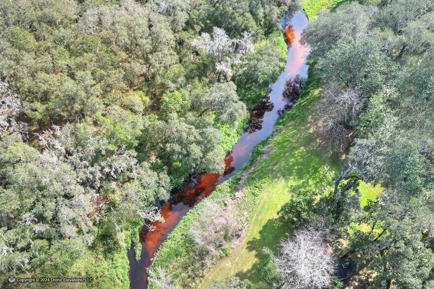 12454 Browns Berry Rd, Dover, FL à vendre - Photo de l’immeuble – Image 2 sur 11