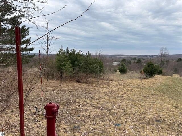 00 South St, Benzonia, MI à vendre - Autre – Image 2 sur 3