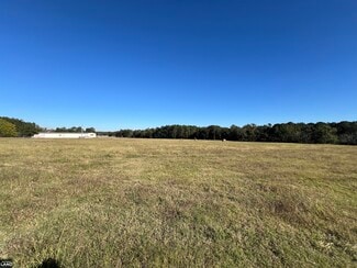 Plus de détails pour 0 Tallahassee Highway, Attapulgus, GA - Terrain à vendre