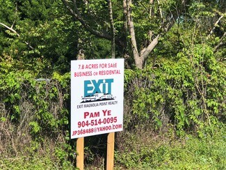 Plus de détails pour 473 highway 17, San Mateo, FL - Terrain à vendre
