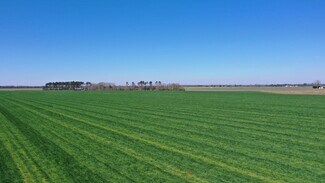 Plus de détails pour Lot 14 Davis Pond Rd rd, Atmore, AL - Terrain à vendre