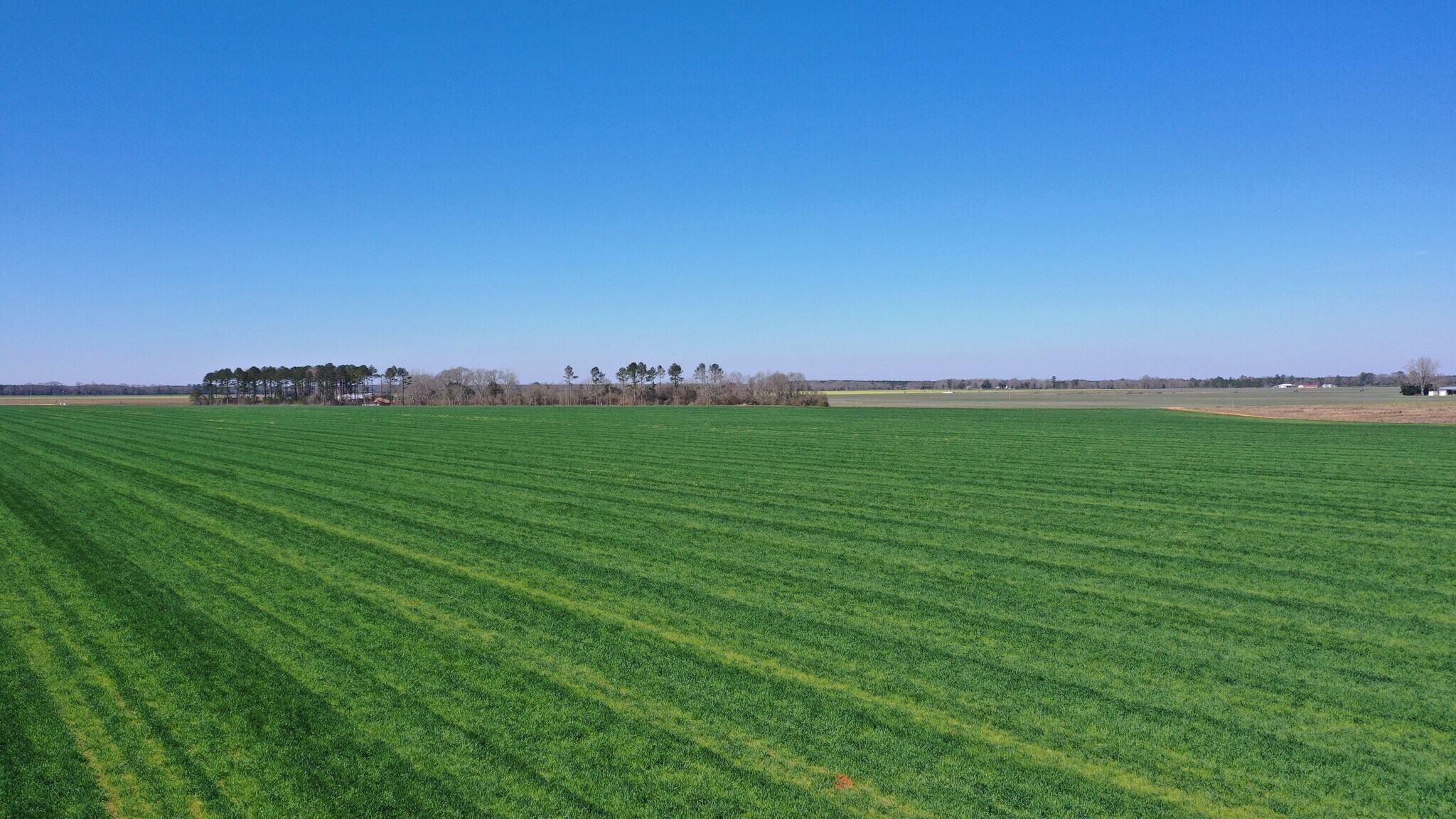 Lot 14 Davis Pond Rd rd, Atmore, AL à vendre Photo principale– Image 1 sur 13