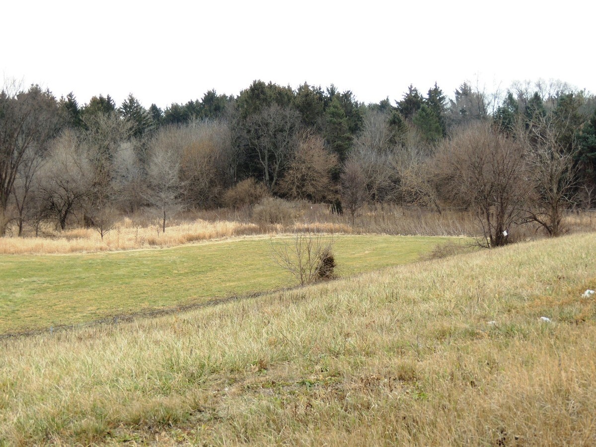 View Photo