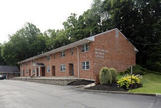 Plus de détails pour 141 S Black Horse Pike, Blackwood, NJ - Bureau/Médical à louer