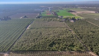 Plus de détails pour 14057 E Clinton South Ave, Ripon, CA - Terrain à vendre